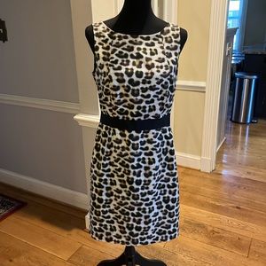 Ann Taylor work dress
